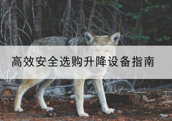 茶陵升降货梯厂家推荐-*安全选购升降设备指南
