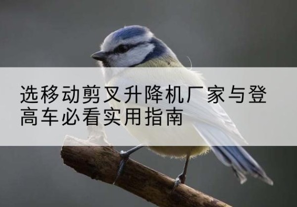 茶陵电动升降机厂家-选移动剪叉升降机厂家与登高车必看实用指南