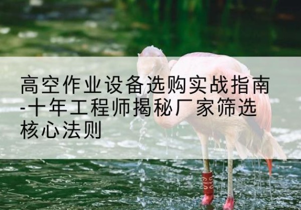 茶陵剪叉式升降机厂家-高空作业设备选购实战指南-十年工程师揭秘厂家筛选核心法则