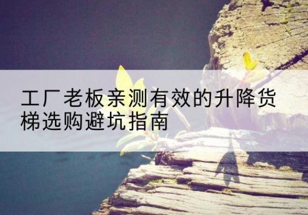 茶陵升降货梯怎么选-工厂老板亲测有效的升降货梯选购避坑指南